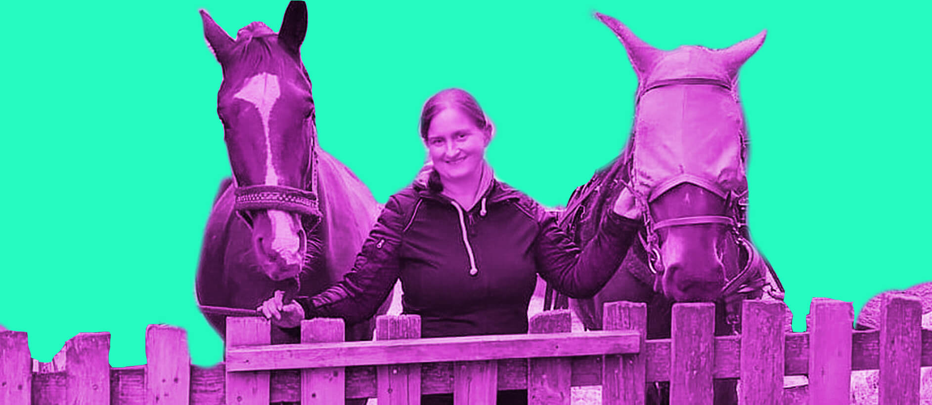 Psychowellness mit Pferd Team